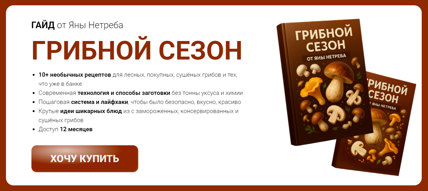 [Labfood] Яна Нетреба ― Гайд «Грибной сезон» (2025_0.png